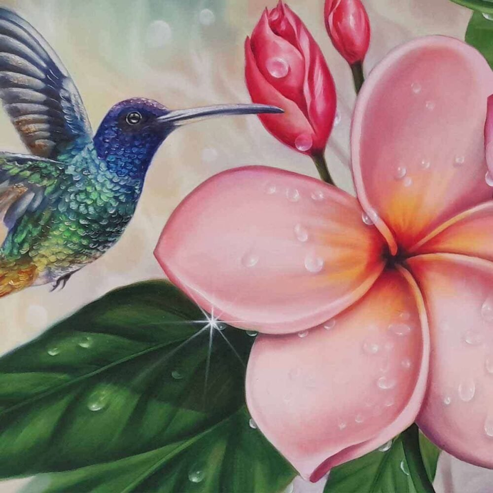 Colibri Jazmín - Imagen 2