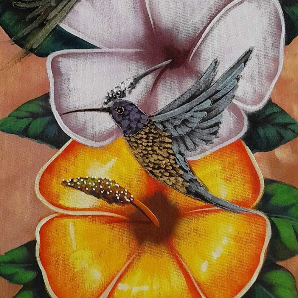 Colibries - Imagen 2